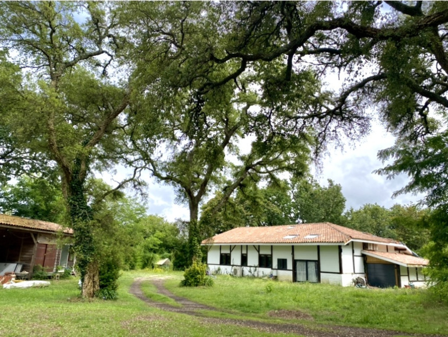 A vendre maison Messanges 40660; 680 000 €