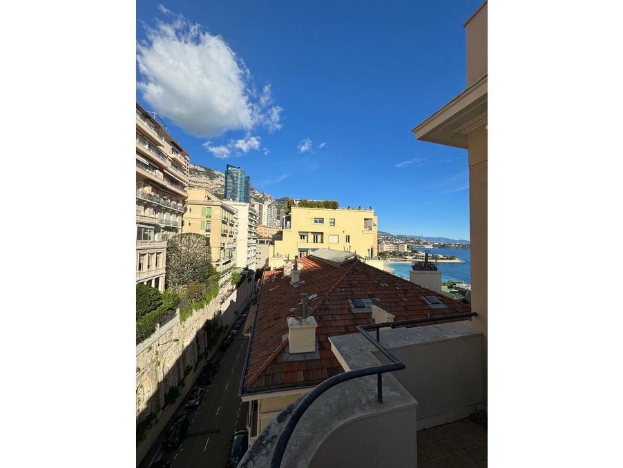 A louer appartement Monaco 98000; 4 150 € 