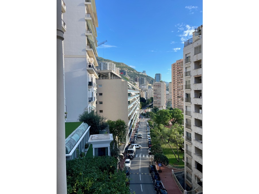 Appartement 1 950 000 €  Réf. PAV2PAMBA Monaco