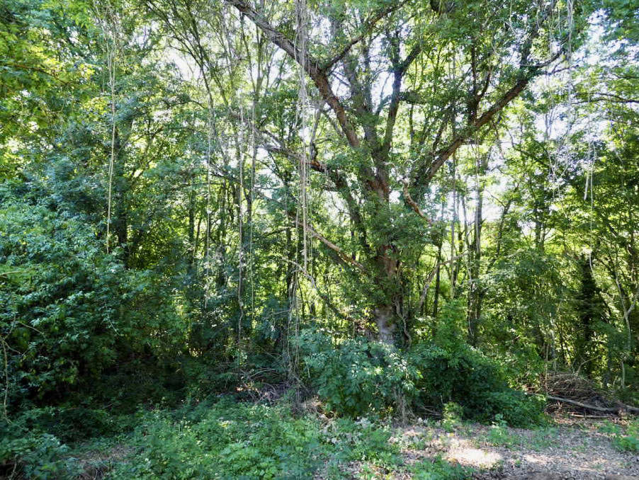 Terrain 28 000 € sur Boulogne sur Gesse (31350) - Réf. 4399-nk-bois