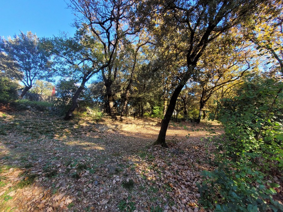 Achat maison Saint Privat des Vieux Réf. 301374982-2211373