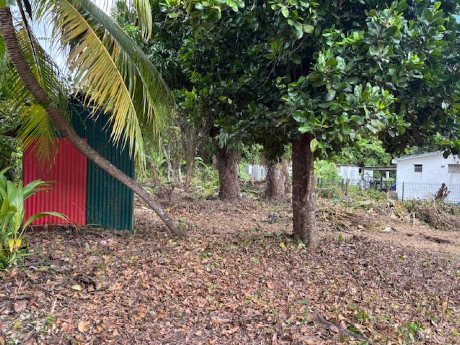 A vendre maison Morne a l'Eau 97111; 240 000 € 