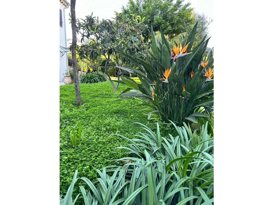 Achat maison Roquebrune-Cap-Martin Réf. 86154845