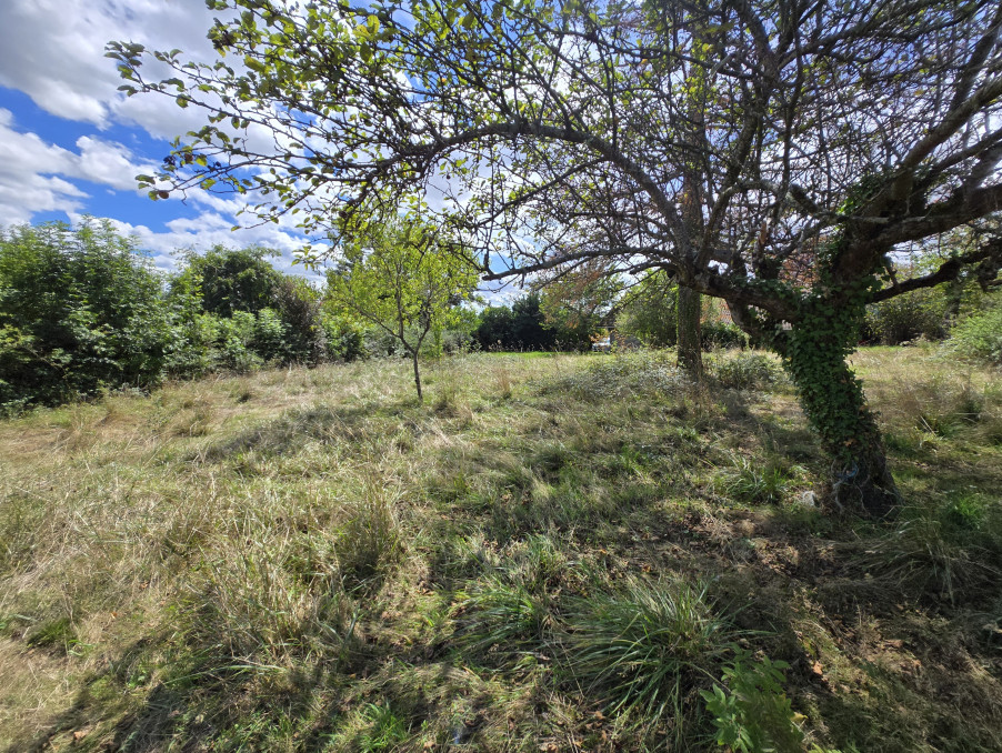 vente maison 42750 Saint-Denis-de-Cabanne