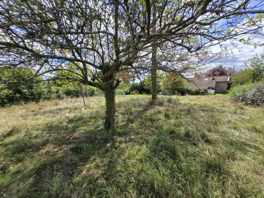 vente maison 42750 Saint-Denis-de-Cabanne