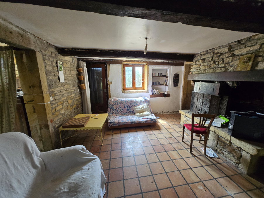 vente maison 42750 Saint-Denis-de-Cabanne