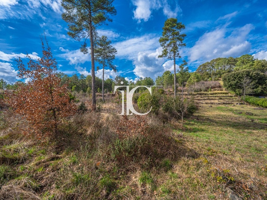 Achat terrain Bordezac Réf. 301376063-25091038