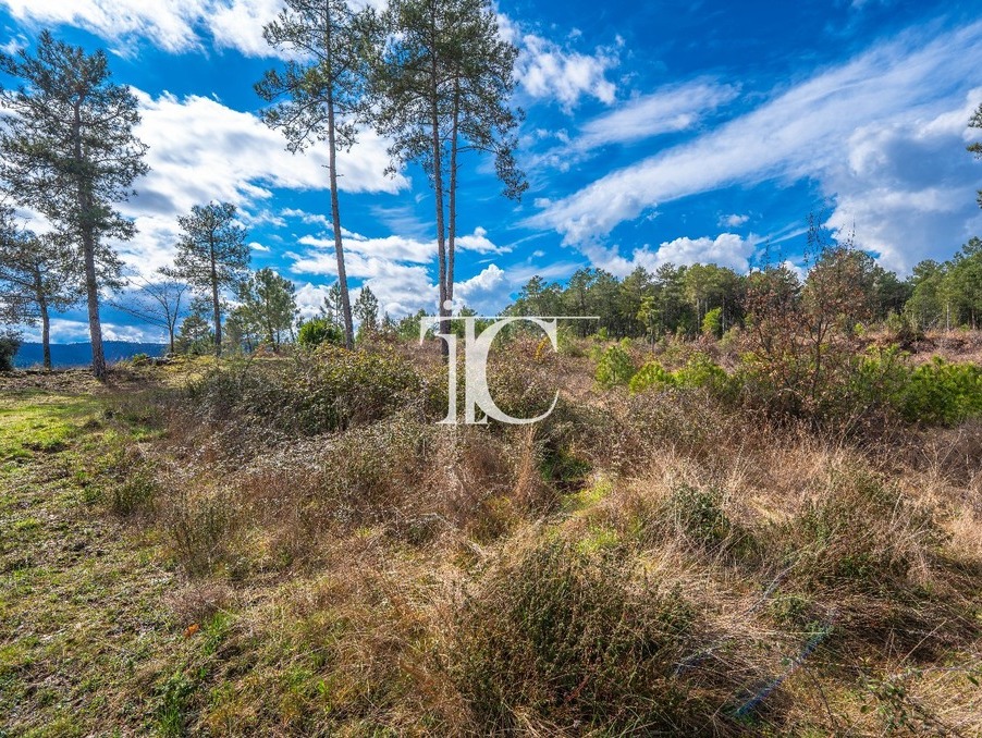 Terrain 113 000 €  Réf. 301376063-25091038 Bordezac