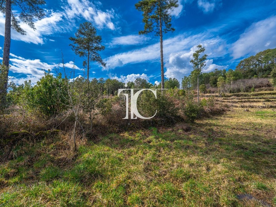 Terrain sur Bordezac ; 113 000 €  ; A vendre Réf. 301376063-25091038