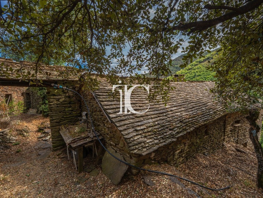 Achat maison Bonnevaux Réf. 301375247-25091045