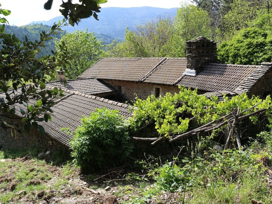 Achat maison Concoules Réf. 301371613-1703122