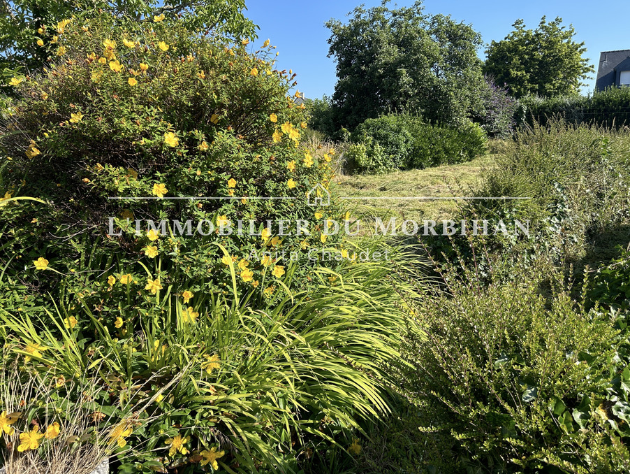 A vendre terrain Sarzeau 56370; 117 000 €