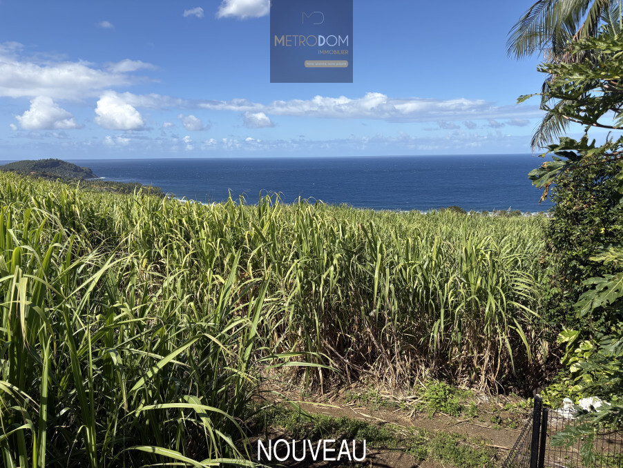 Achat maison Saint-Pierre Réf. 165