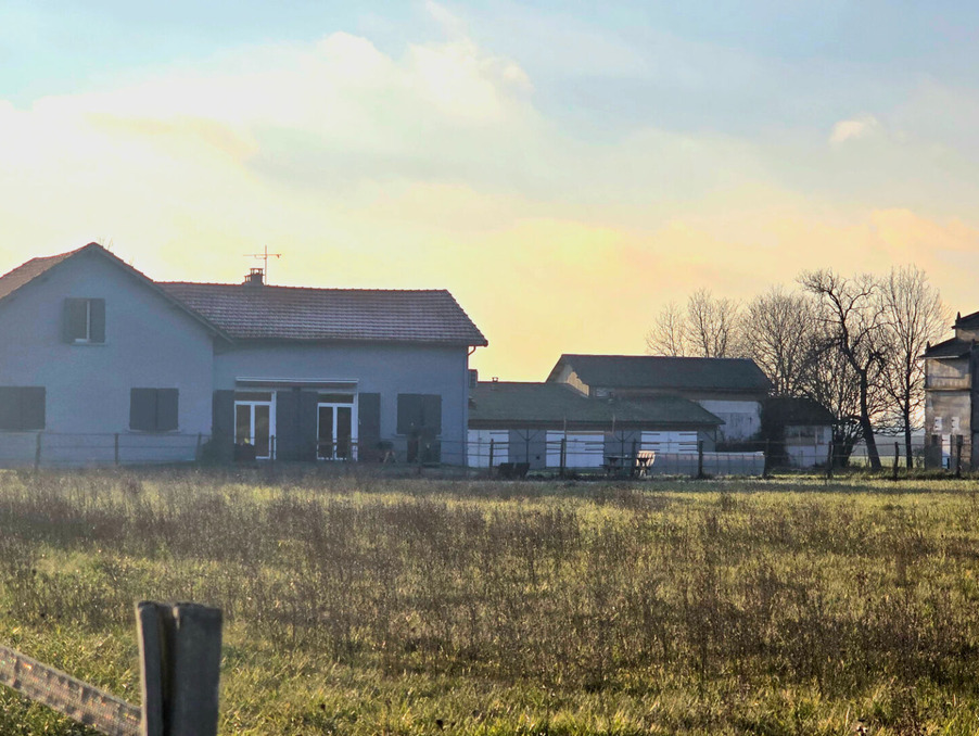 Maison 298 000 &euro;  sur Corbarieu (82370) - Réf. 2415