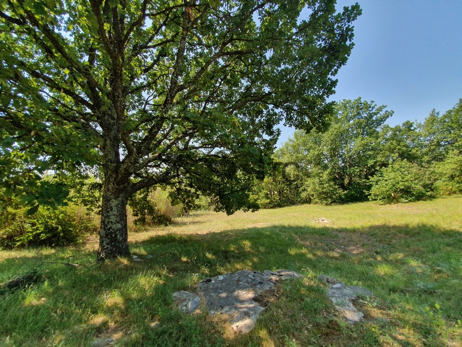 Maison 510 000 €  sur Les Vans (07140) - Réf. 301373240-2008146