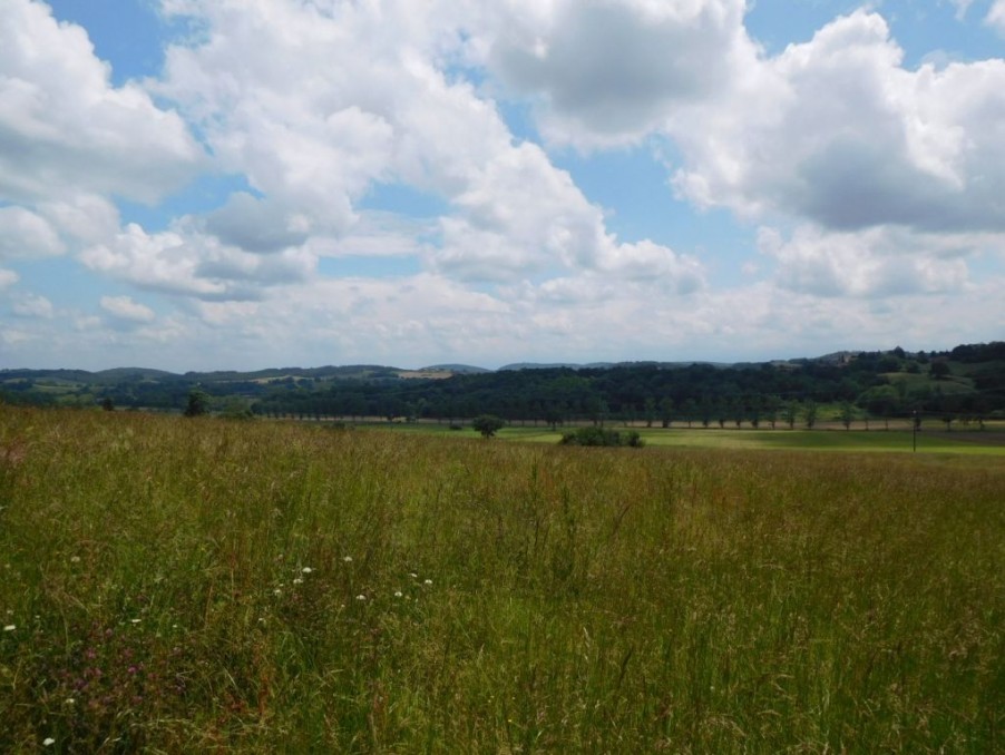 Terrain sur Boulogne sur Gesse ; 45 000 € ; A vendre Réf. 4077-nk
