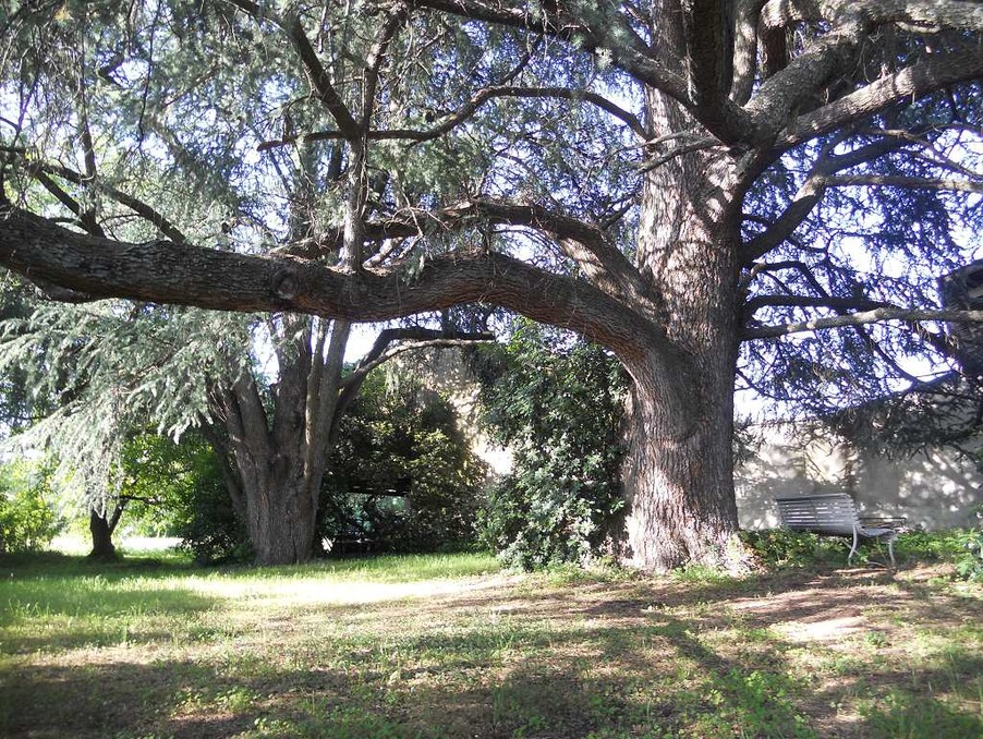 Maison 480 000 €  Réf. 301371231-1605233 Barjac