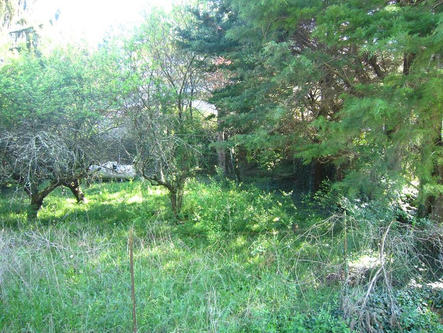 Maison 1 €  Réf. 30137595-15/05231 Banne