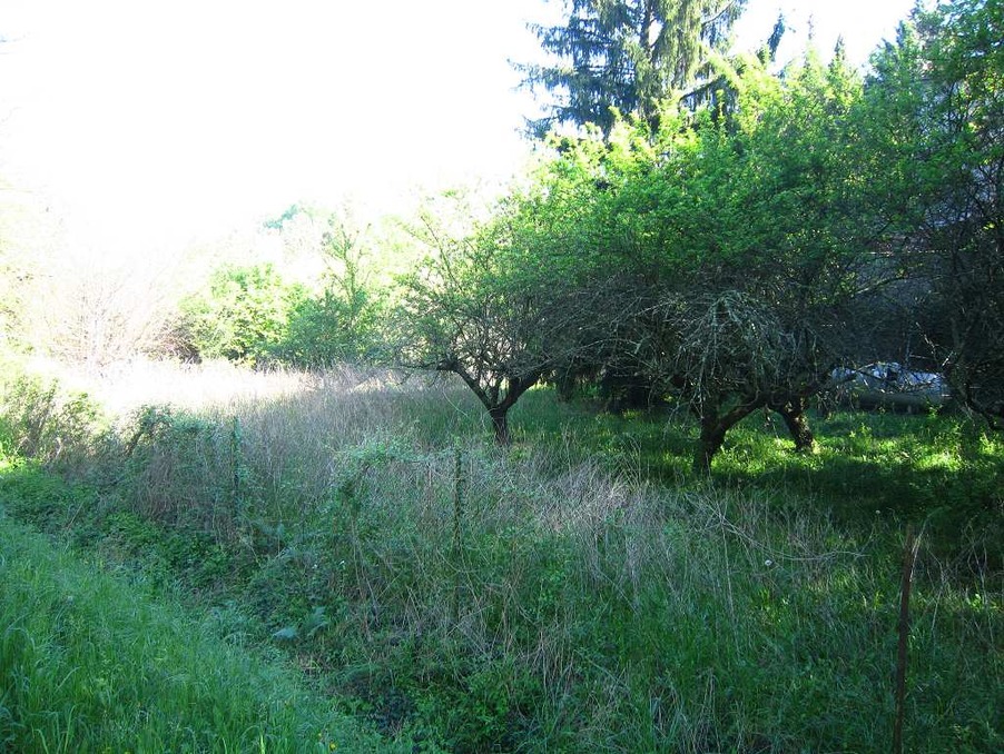 Maison sur Banne ; 1 €  ; A vendre Réf. 30137595-15/05231