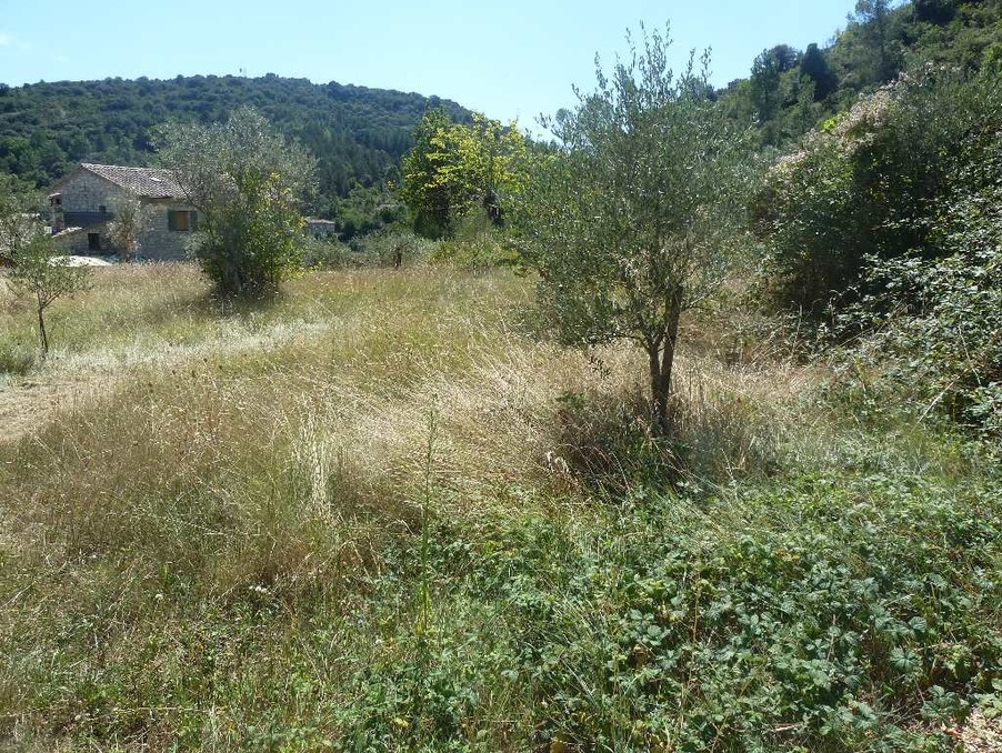 Terrain 75 000 €  Réf. 301371335-1608322 Saint Ambroix