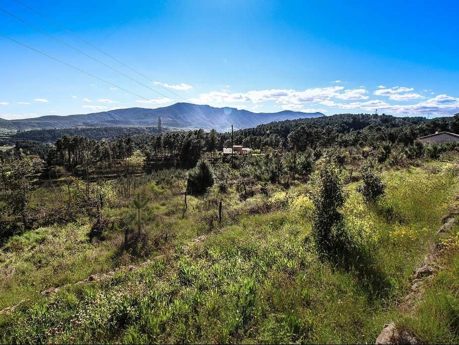 Terrain 97 000 €  Réf. 301371729-1704168 Les Vans