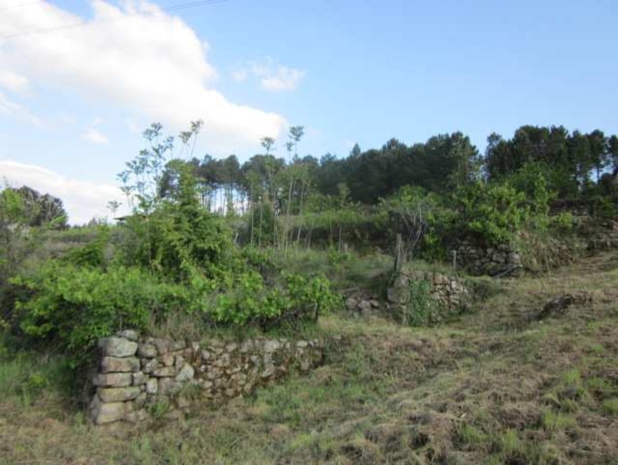 Terrain 97 000 €  Réf. 301371729-1704168 Les Vans