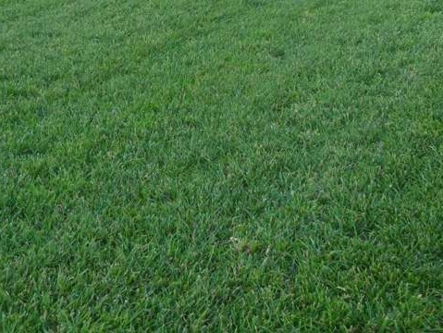 Terrain sur Saint Ambroix ; 45 000 €  ; Vente Réf. 301371768-1705196