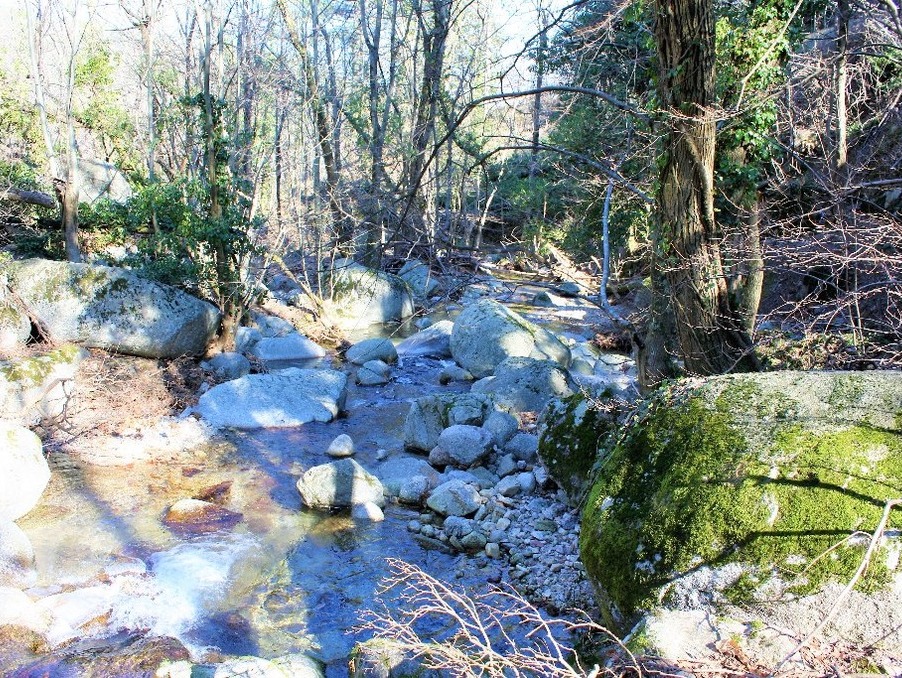 Maison 179 000 €  sur Genolhac (30450) - Réf. 301372201-180367