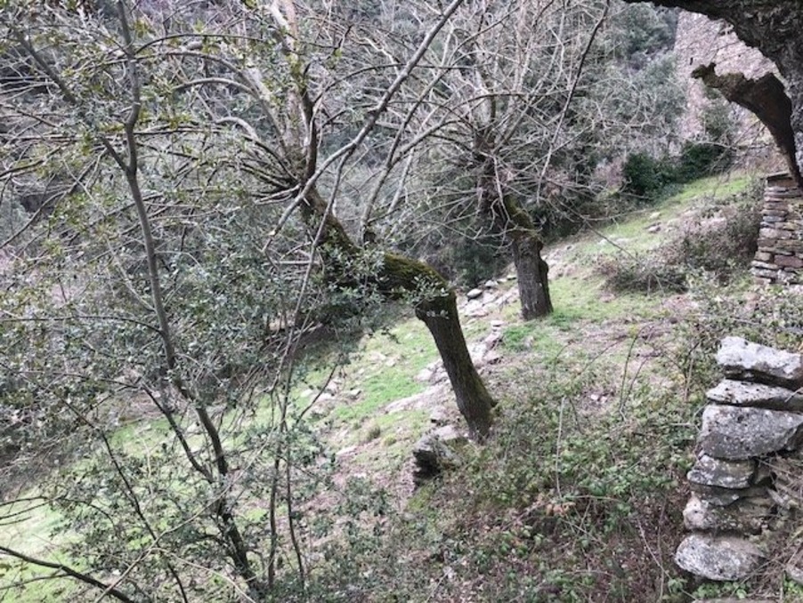 Maison sur Malbosc ; 65 000 €  ; Achat Réf. 301372228-180227