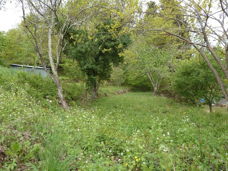 Vente terrain 23 000 €  Molieres sur Ceze