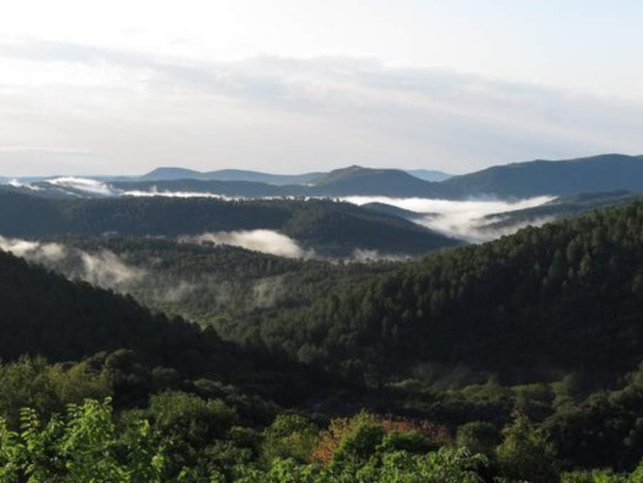 Maison 290 000 €  sur Malbosc (07140) - Réf. 301372390-1806177