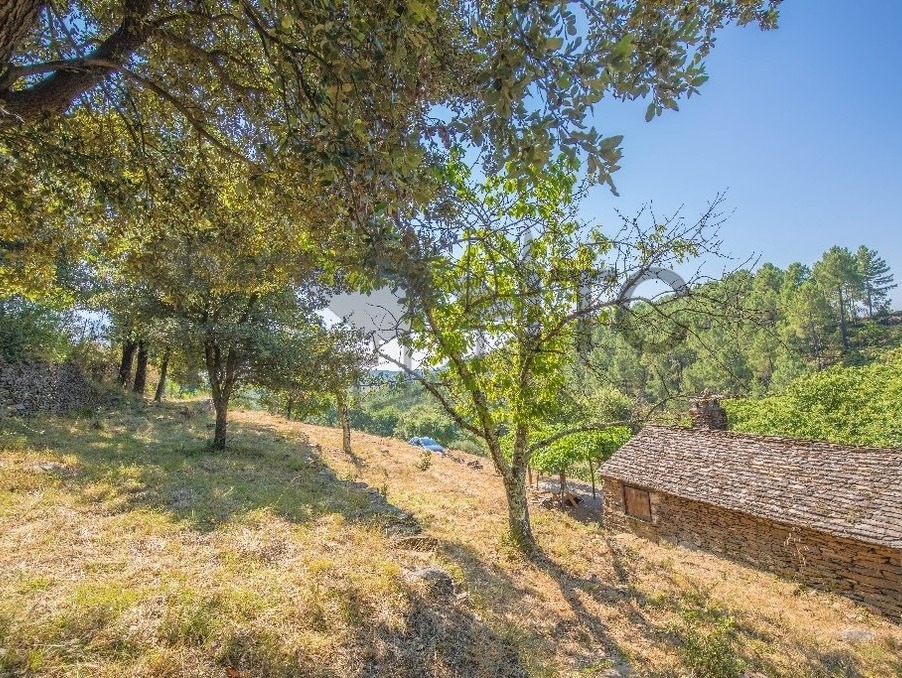 Achat maison Les Vans Réf. 301372465-1807242