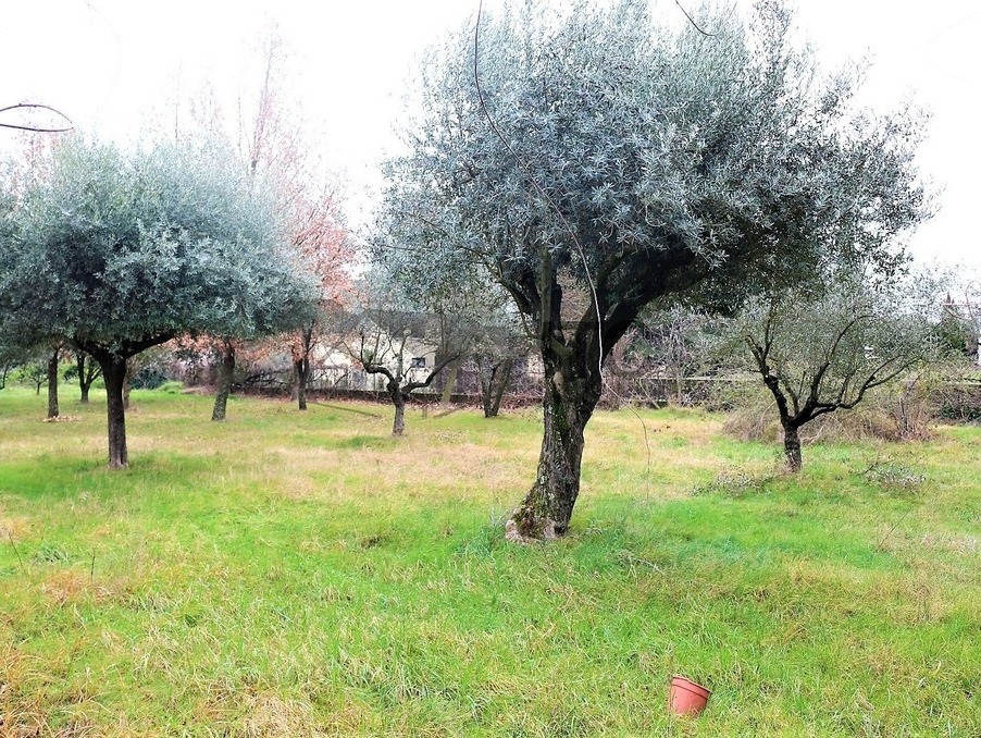 Achat maison Saint Ambroix Réf. 301371915-190139