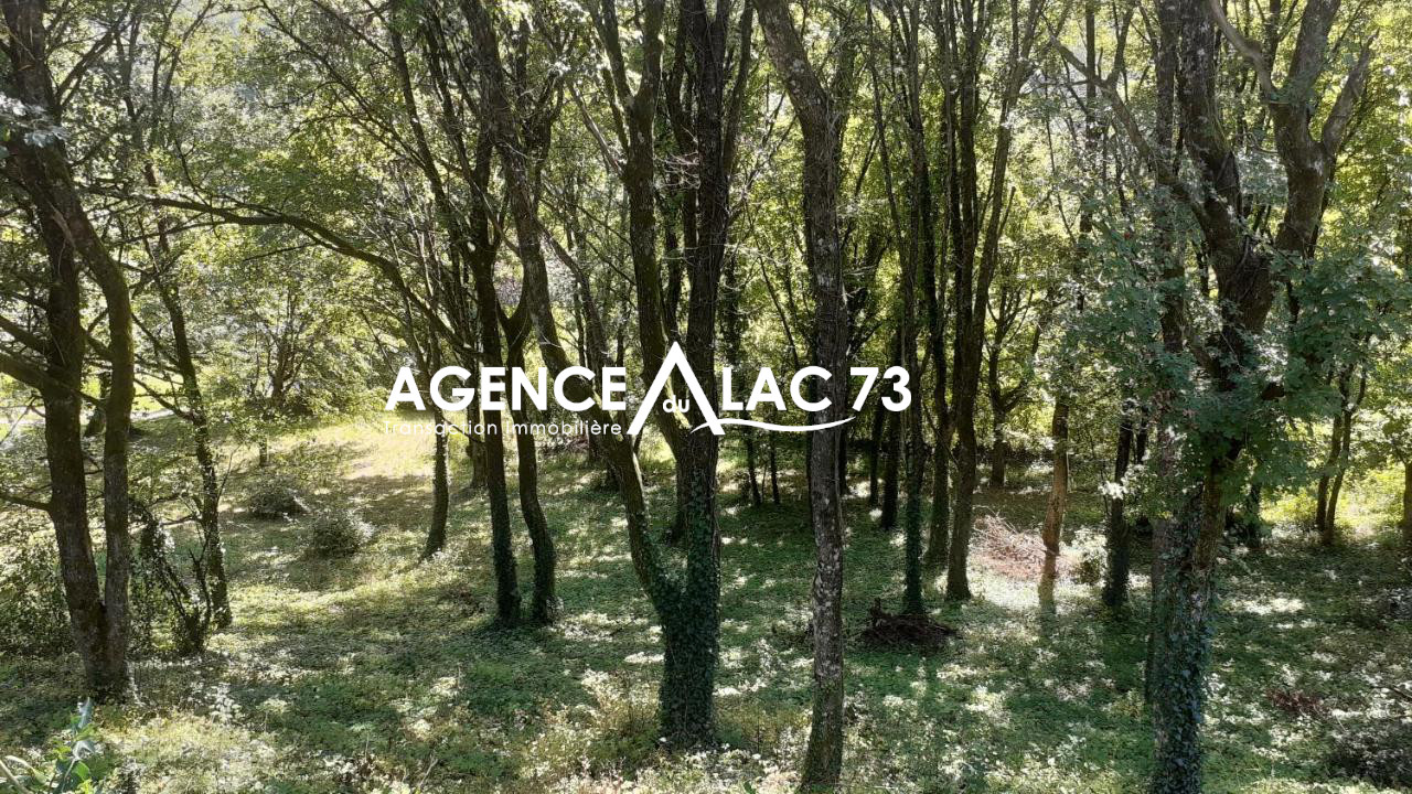 Vente maison 642 675 € Conjux