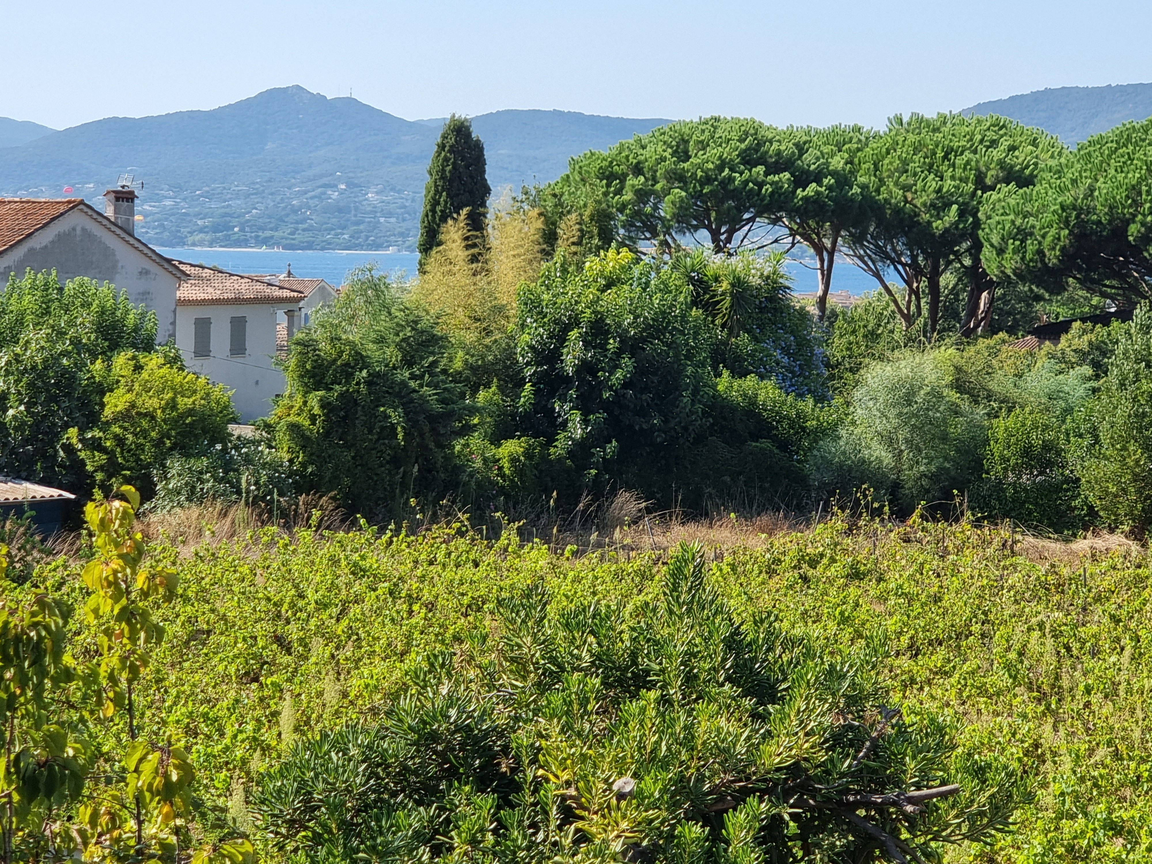 Vente propriété prix nous consulter Saint-Tropez