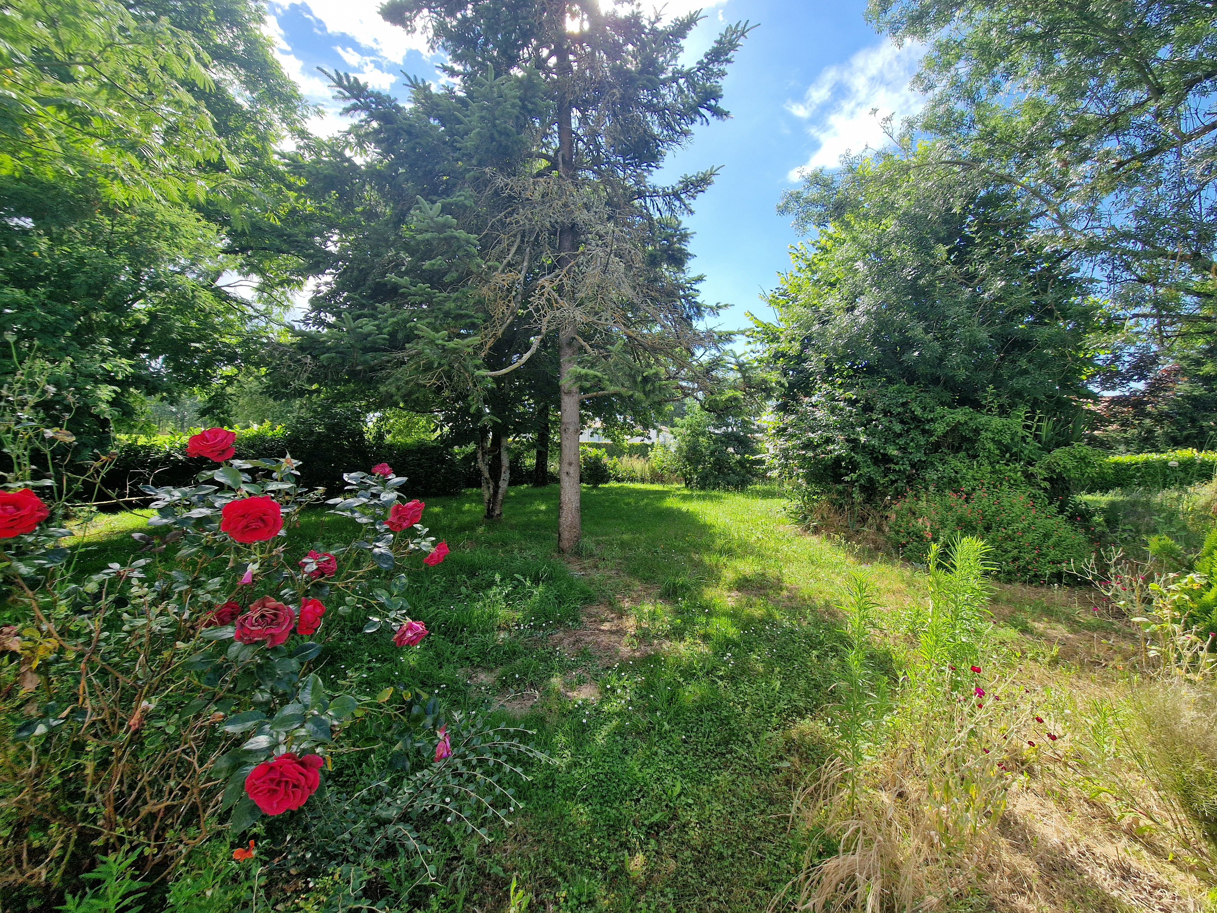 A vendre terrain Vertou 44120; 115 000 €