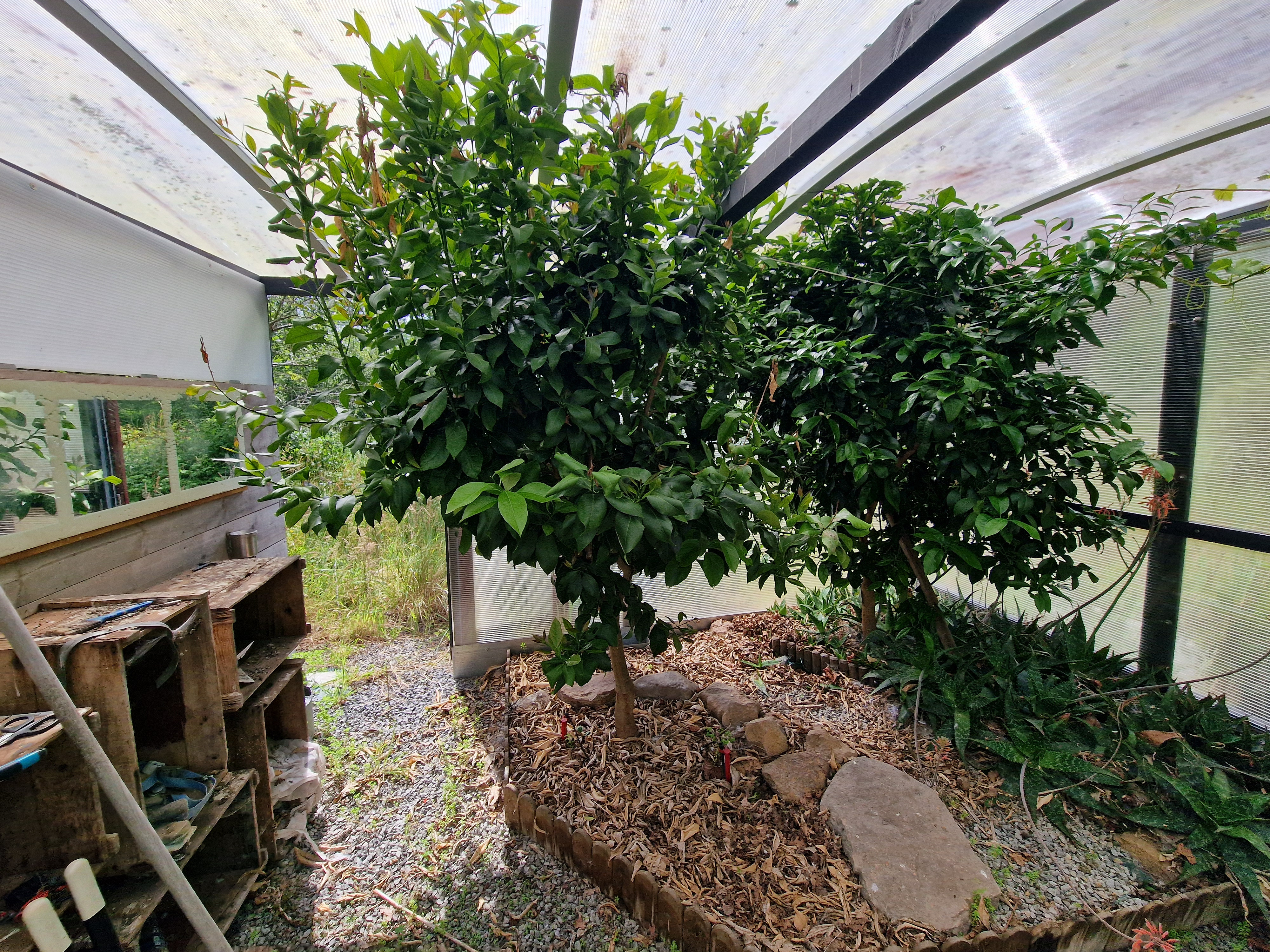 Achat terrain Geneston Réf. 48