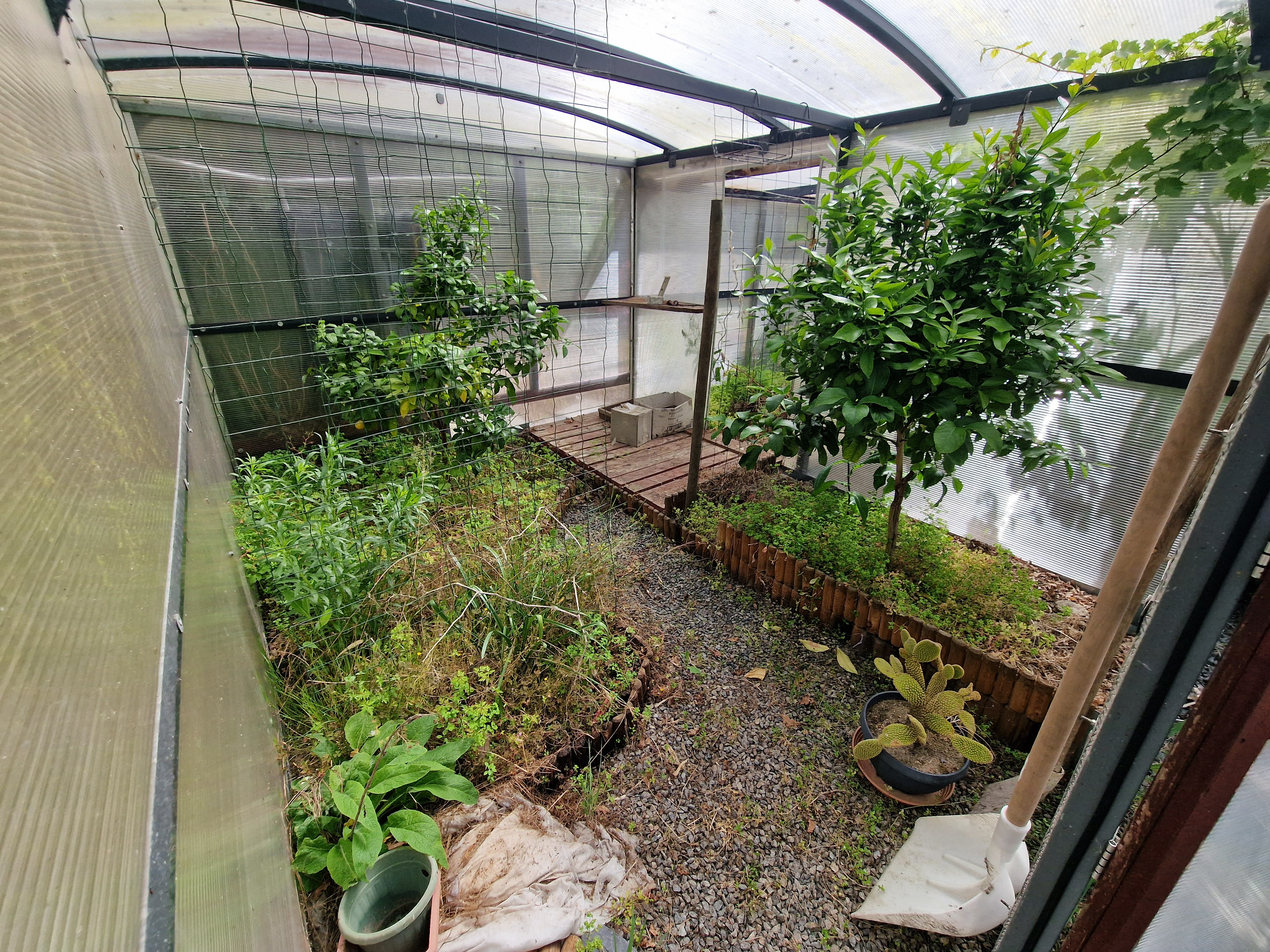 Terrain 23 900 €  sur Geneston (44140) - Réf. 48