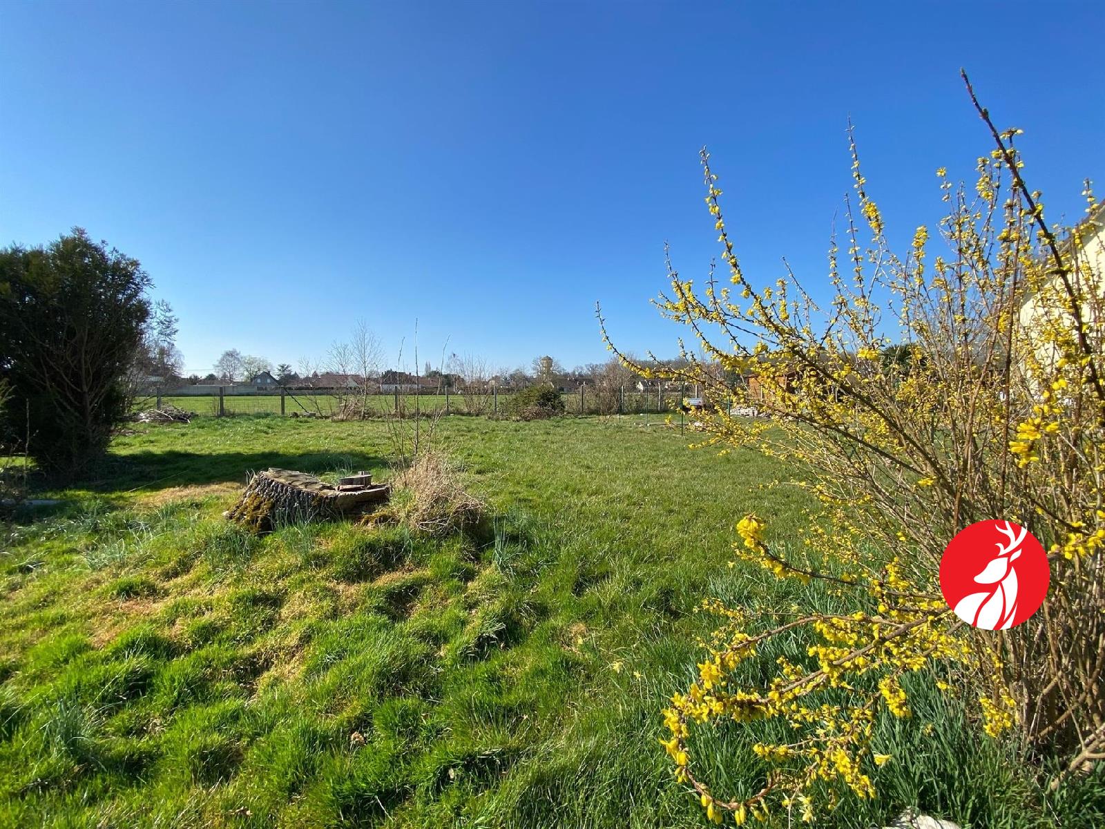Terrain sur Chailly en Biere ; 135 500 € ; A vendre Réf. 8719-6485