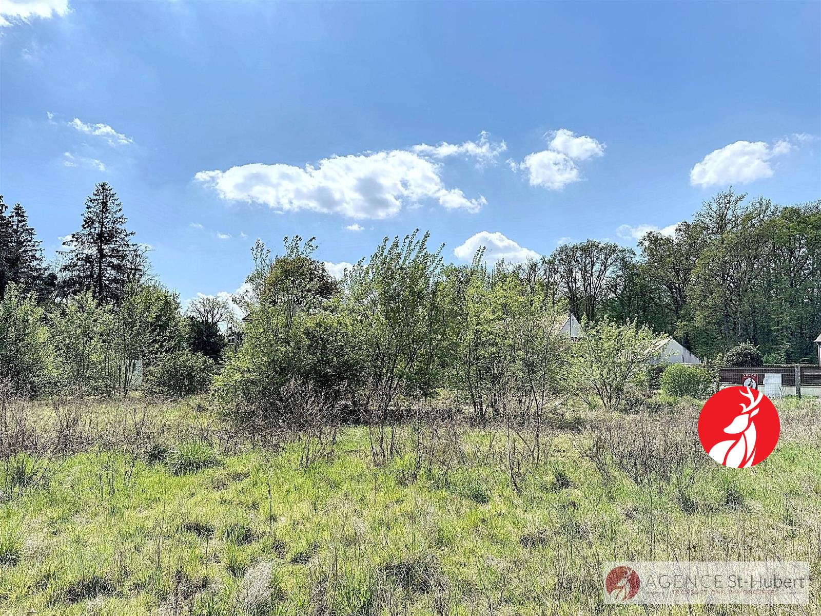 Terrain 195 000 € Réf. 8691-6491 Arbonne la Foret