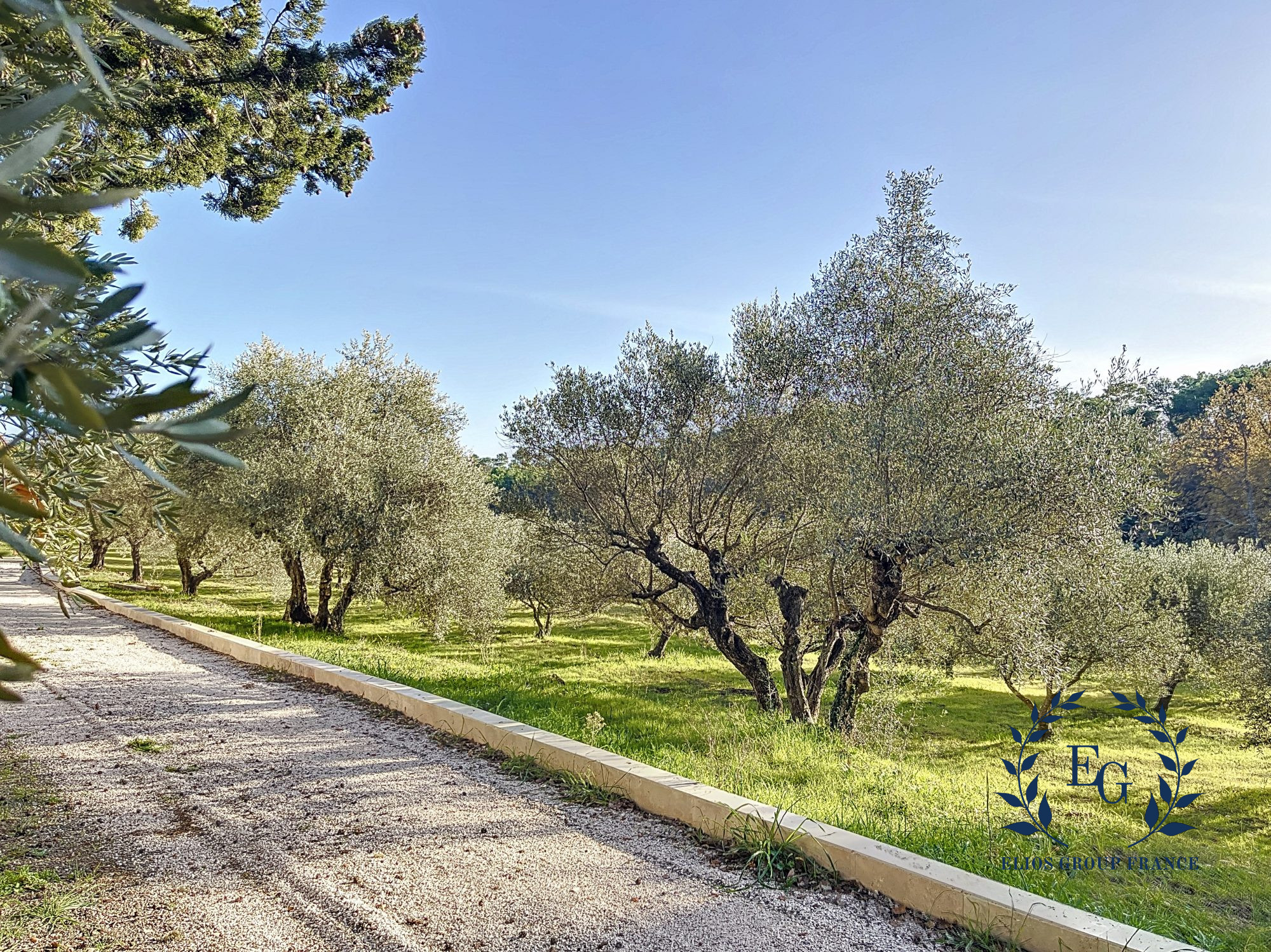 Vente maison 890 000 € Lorgues