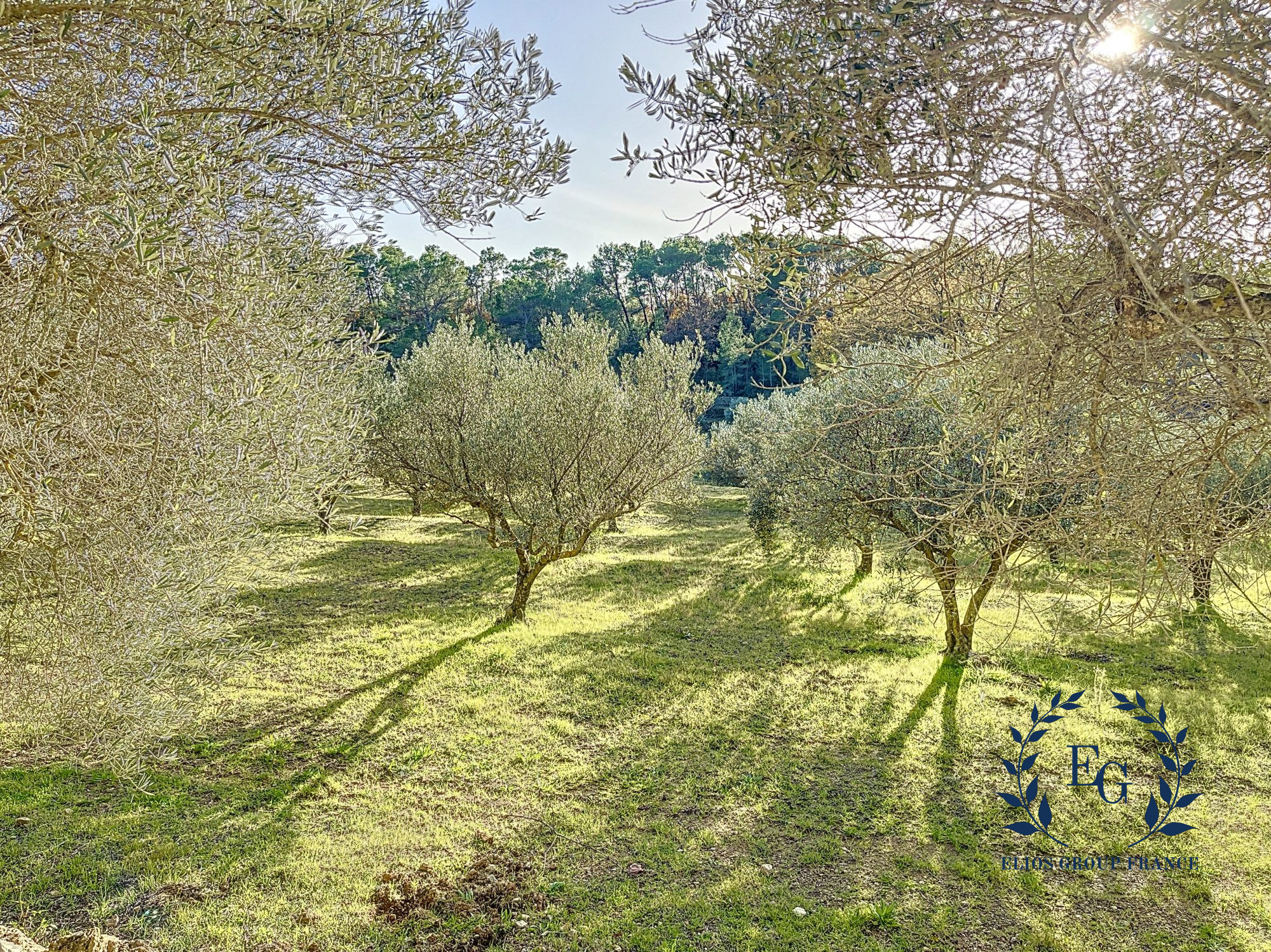 A vendre maison Lorgues 83510; 890 000 €
