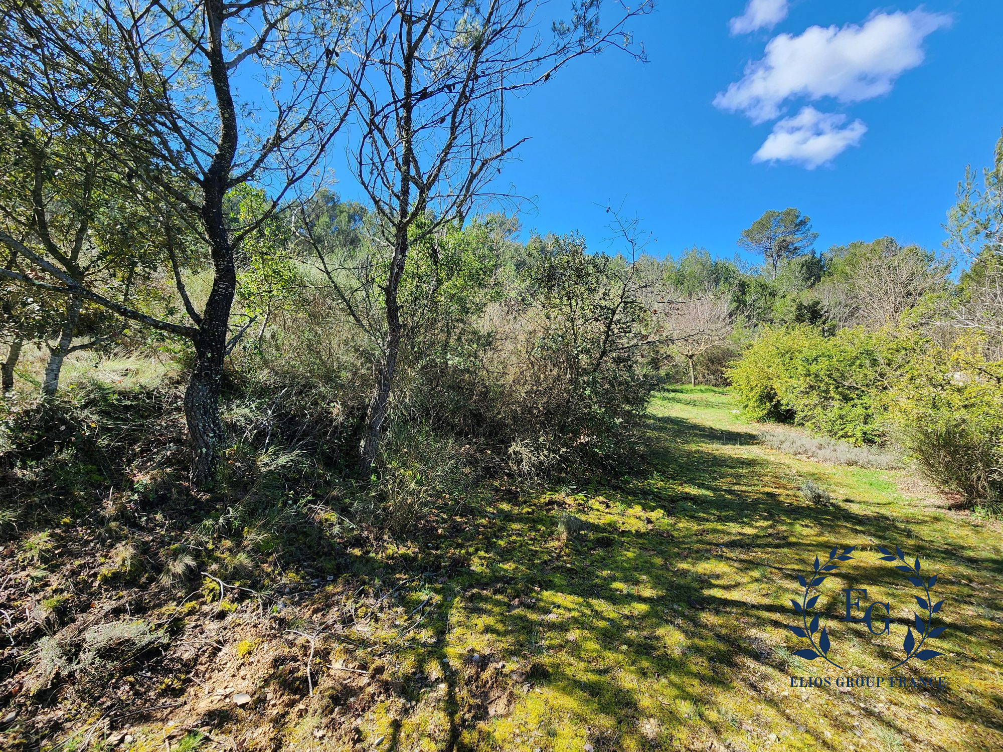 Maison sur Barjols ; 225 000 € ; A vendre Réf. 210-ELIOSGROUP1_210