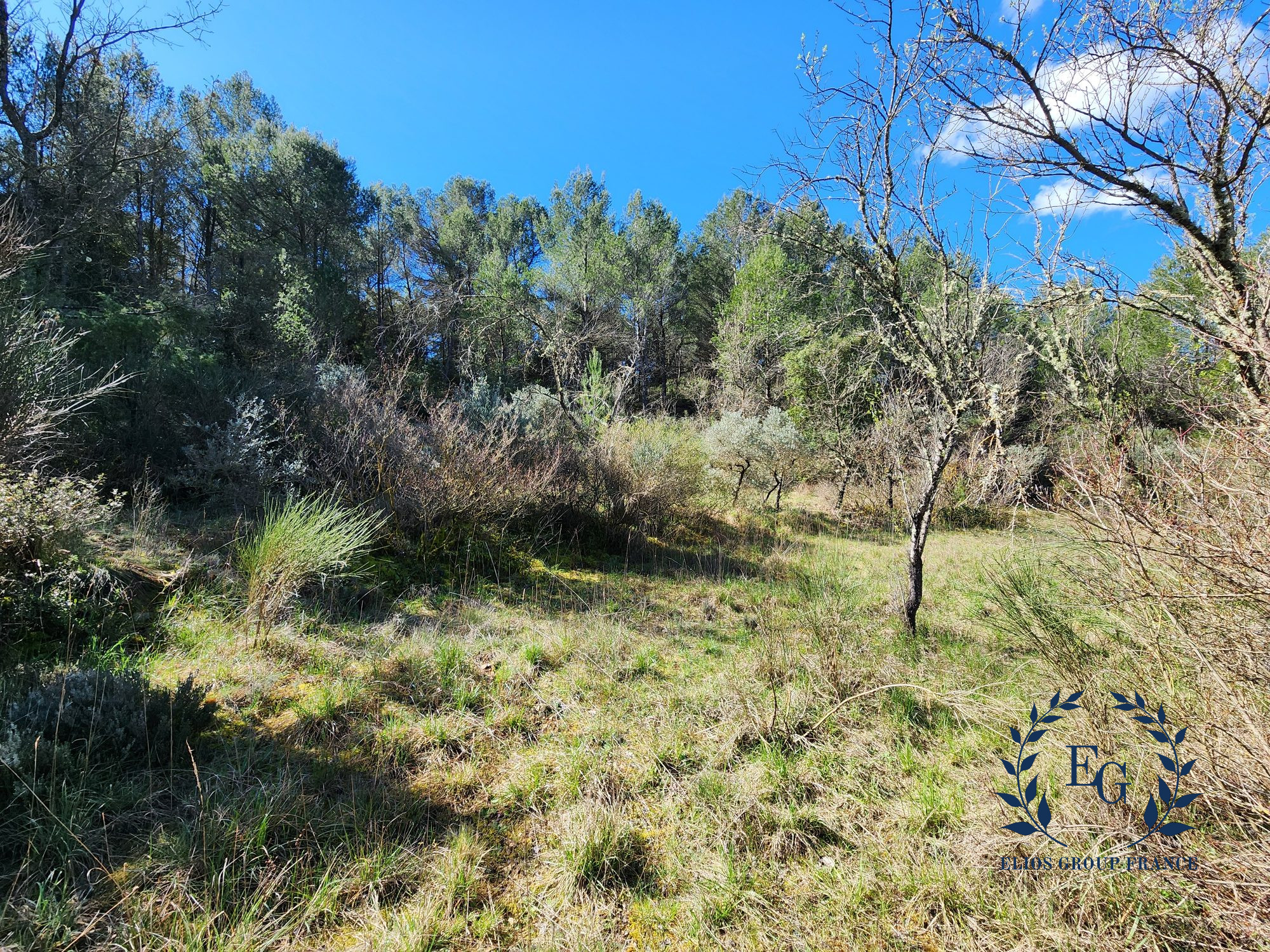 Achat maison Barjols Réf. 210-ELIOSGROUP1_210