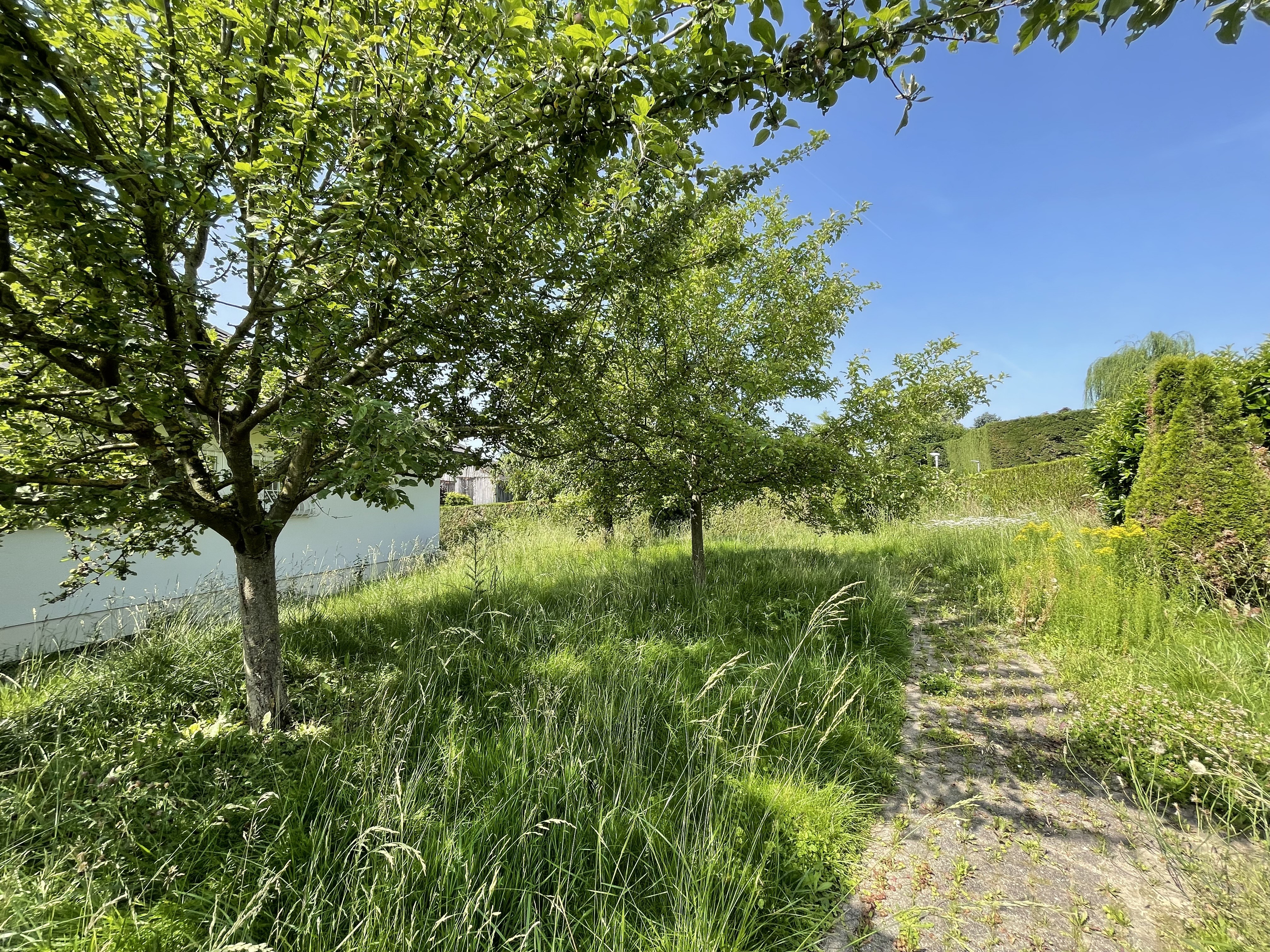 Vente maison 483 000 € Koetzingue
