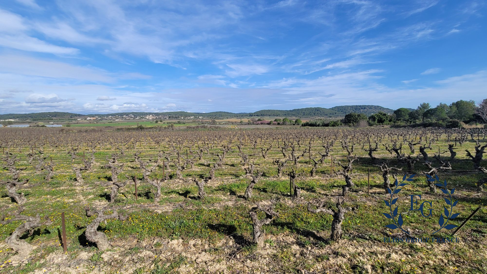 Terrain 156 000 € Réf. 1205-ELIOSGROUP1_1205 Congénies
