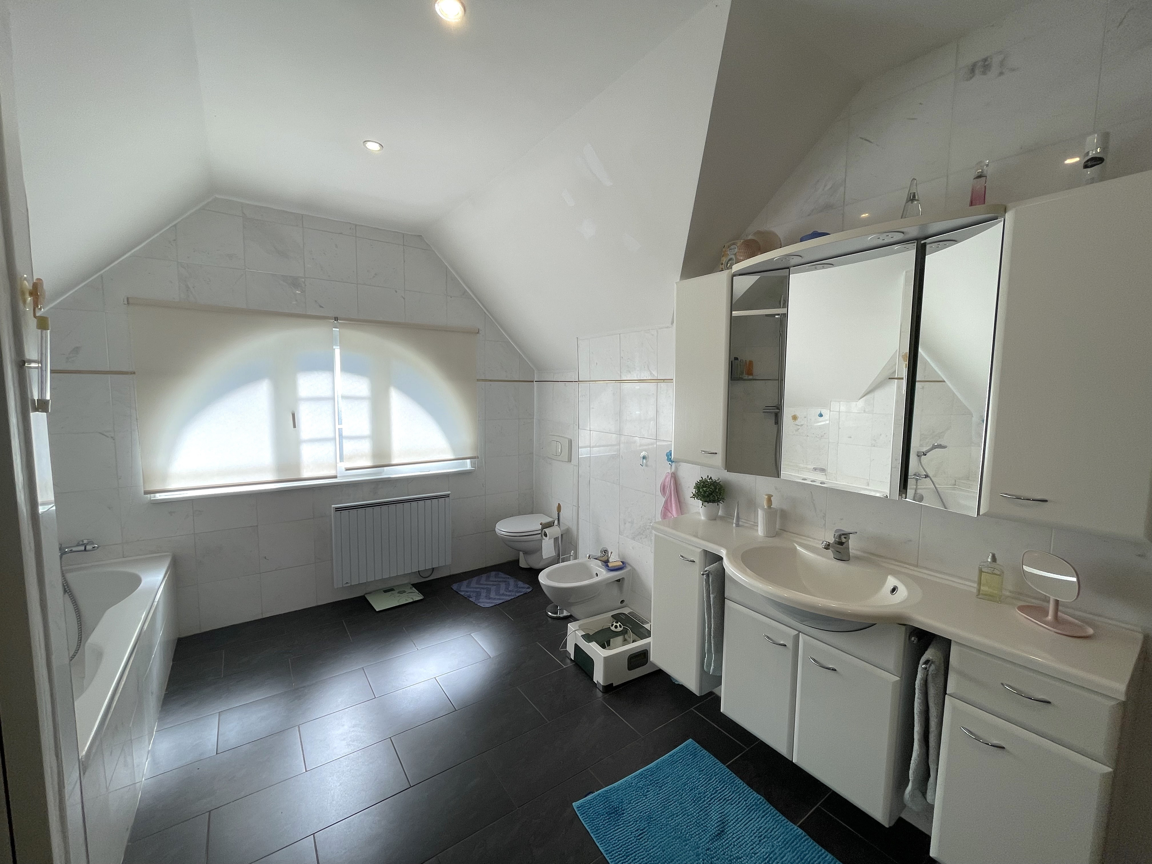 Vente maison 497 000 € Leymen