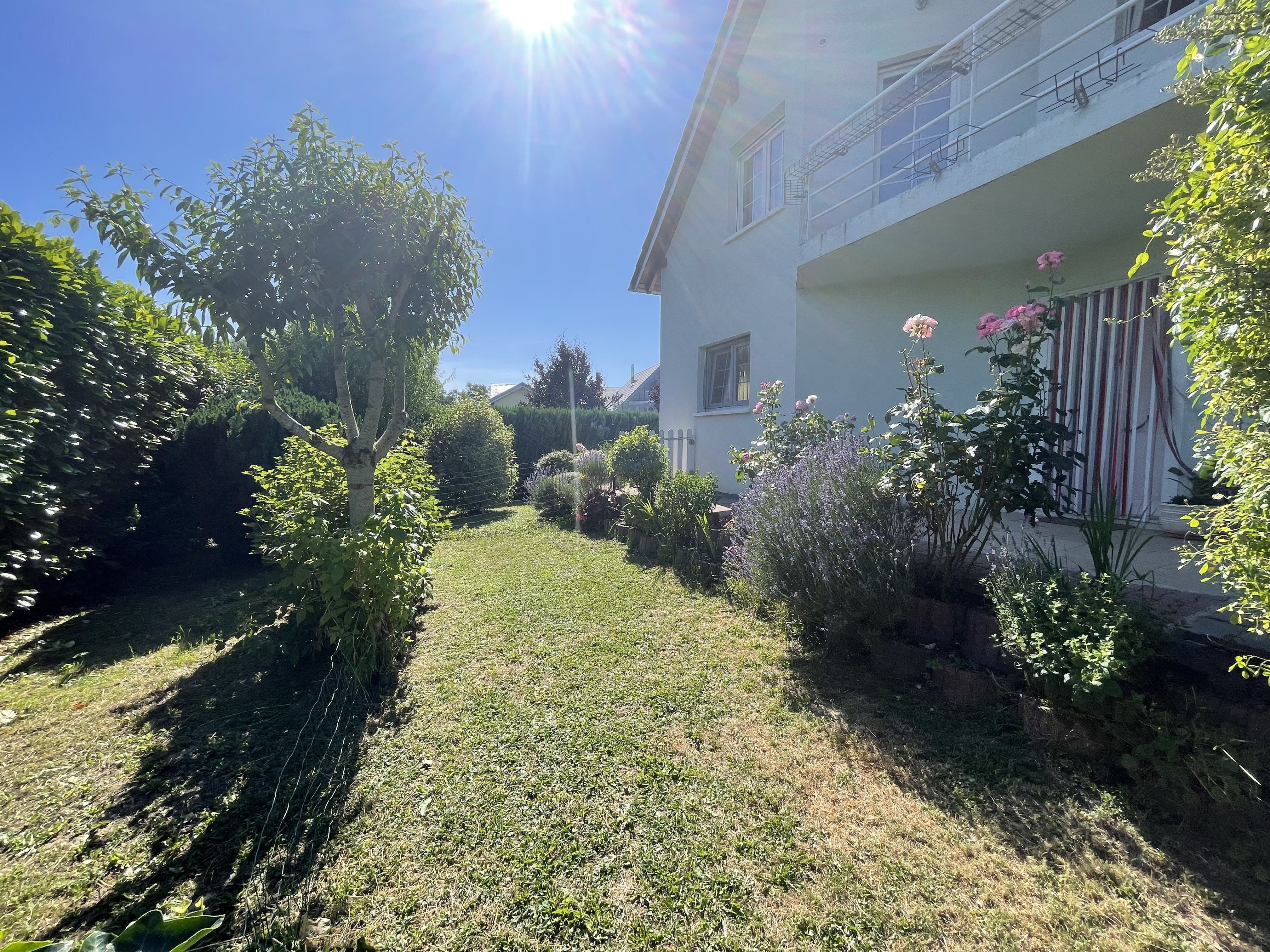 Vente maison 497 000 € Leymen