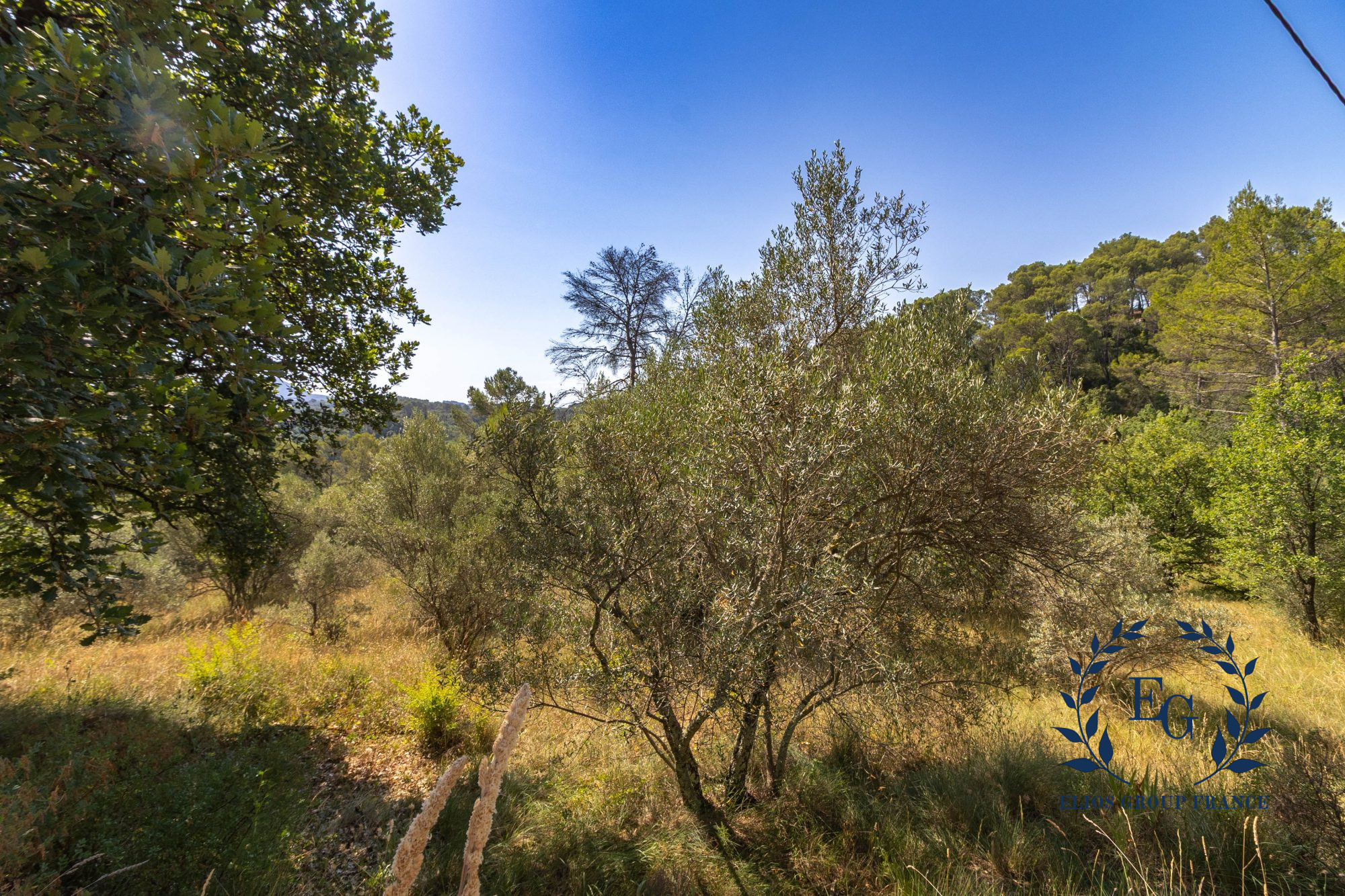 Maison sur Barjols ; 315 000 € ; Achat Réf. 258-ELIOSGROUP1_258