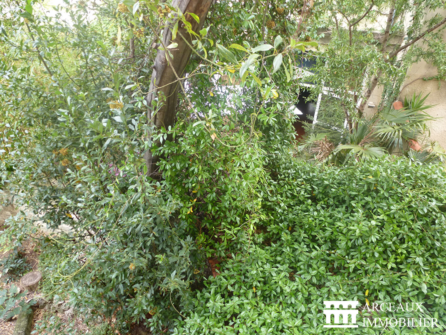 A louer appartement 500 &euro;  Montpellier